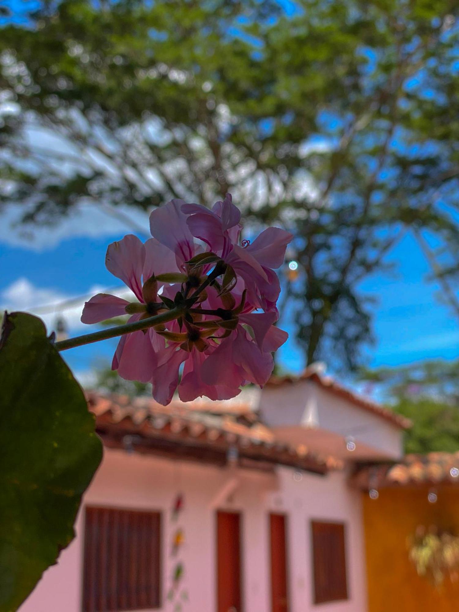 Hotel Campestre La Trinidad San Gil Exterior photo